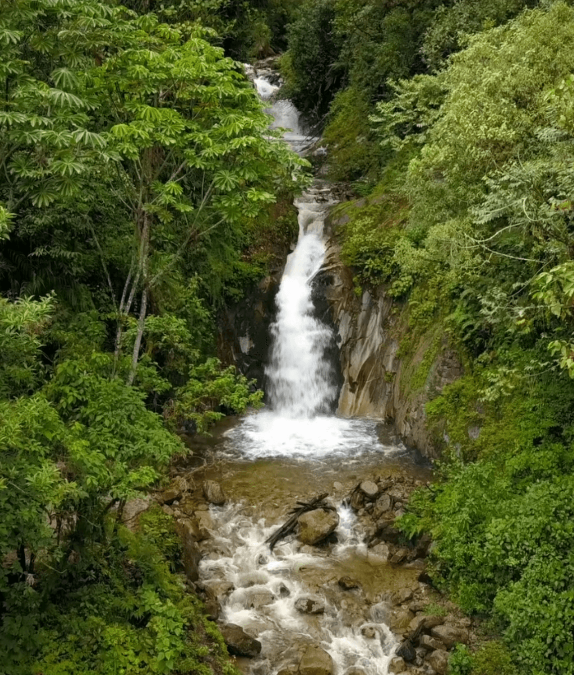 Mandor waterfall in the cloud forest
